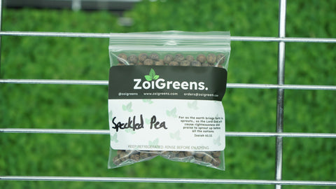 Pea (Speckled) Organic Seeds