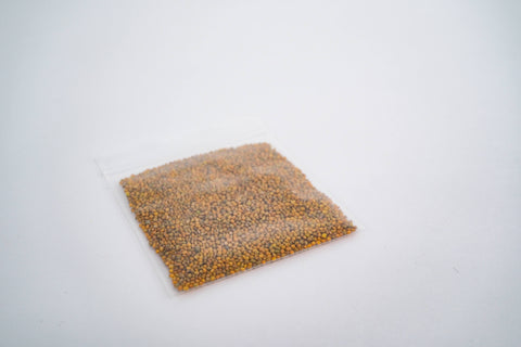 Microgreen Starter Kit