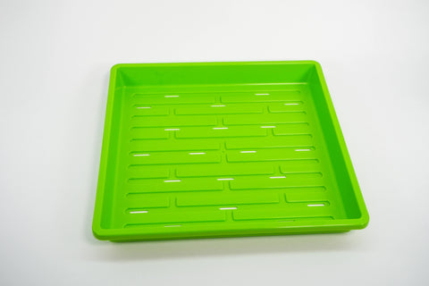 Microgreen Starter Kit