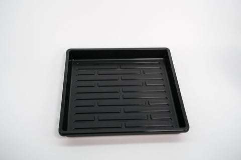 Microgreen Starter Kit