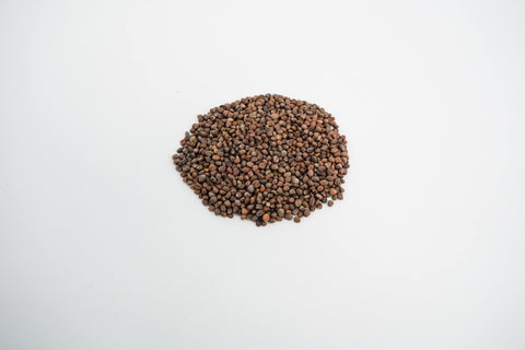 Radish (Rambo) Organic Seeds