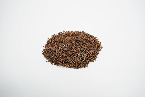 Broccoli (Waltham) Organic Seeds