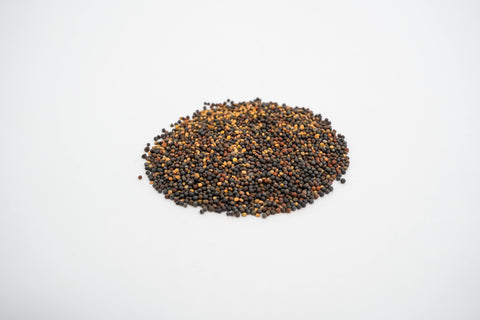 Microgreen Starter Kit