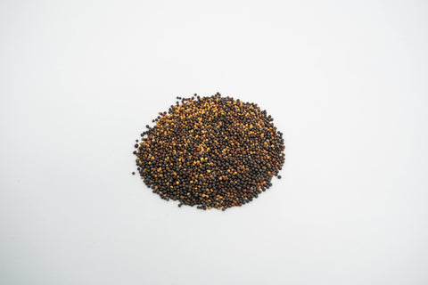 Microgreen Starter Kit