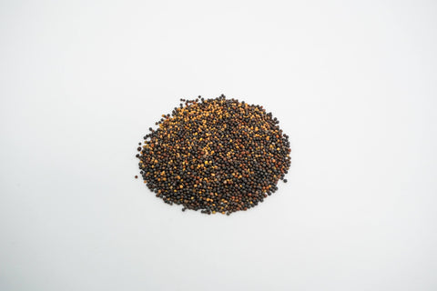 Basic Salad Mix Organic Seeds