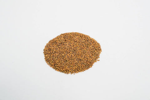 Arugula (Rocket) Organic Seeds