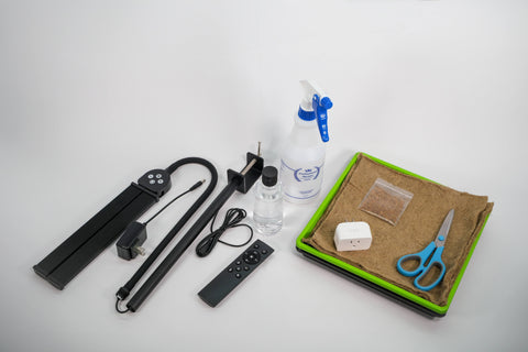 Microgreen Starter Kit