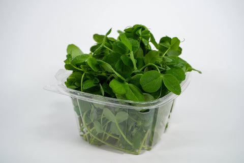 Microgreen Starter Kit