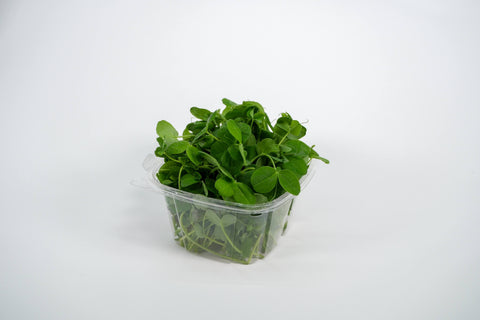 Microgreen Starter Kit