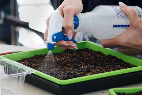 Microgreen Masterclass