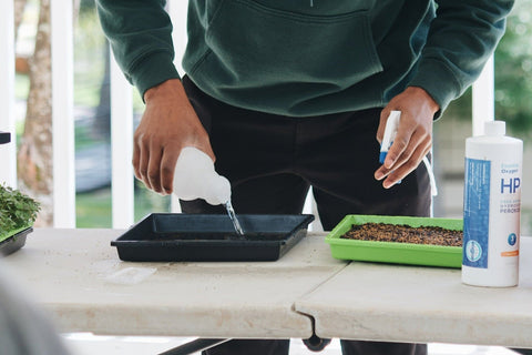 Hands On Microgreen Presentation