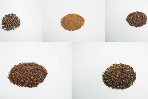 Happy Harvester Seed Assortment